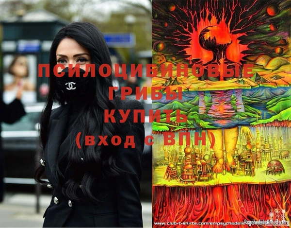 a pvp Вяземский
