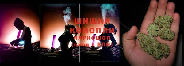 молекула духа Вязьма