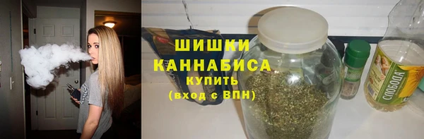 молекула духа Вязьма