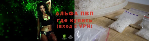 молекула духа Вязьма