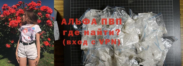 молекула духа Вязьма