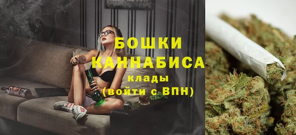 молекула духа Вязьма
